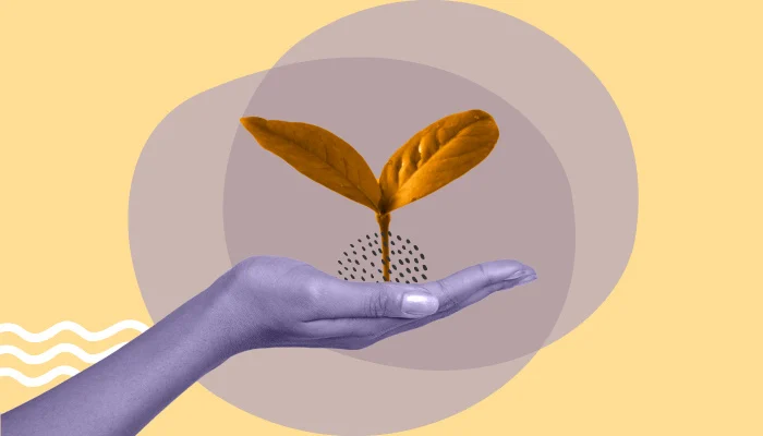 O que é marketing verde e por que é importante para o meio ambiente e os negócios